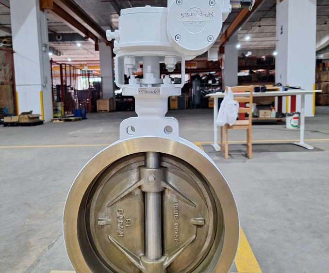 Butterfly Valves