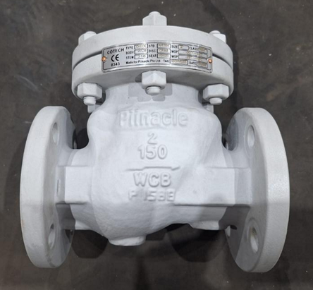 Check Valves