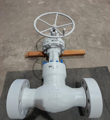 Globe Valves